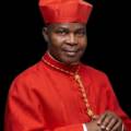 Anthony Cardinal Olubunmi Okogie: A Fearless Shepherd, Moral Giant, and Colossus of Nigeria